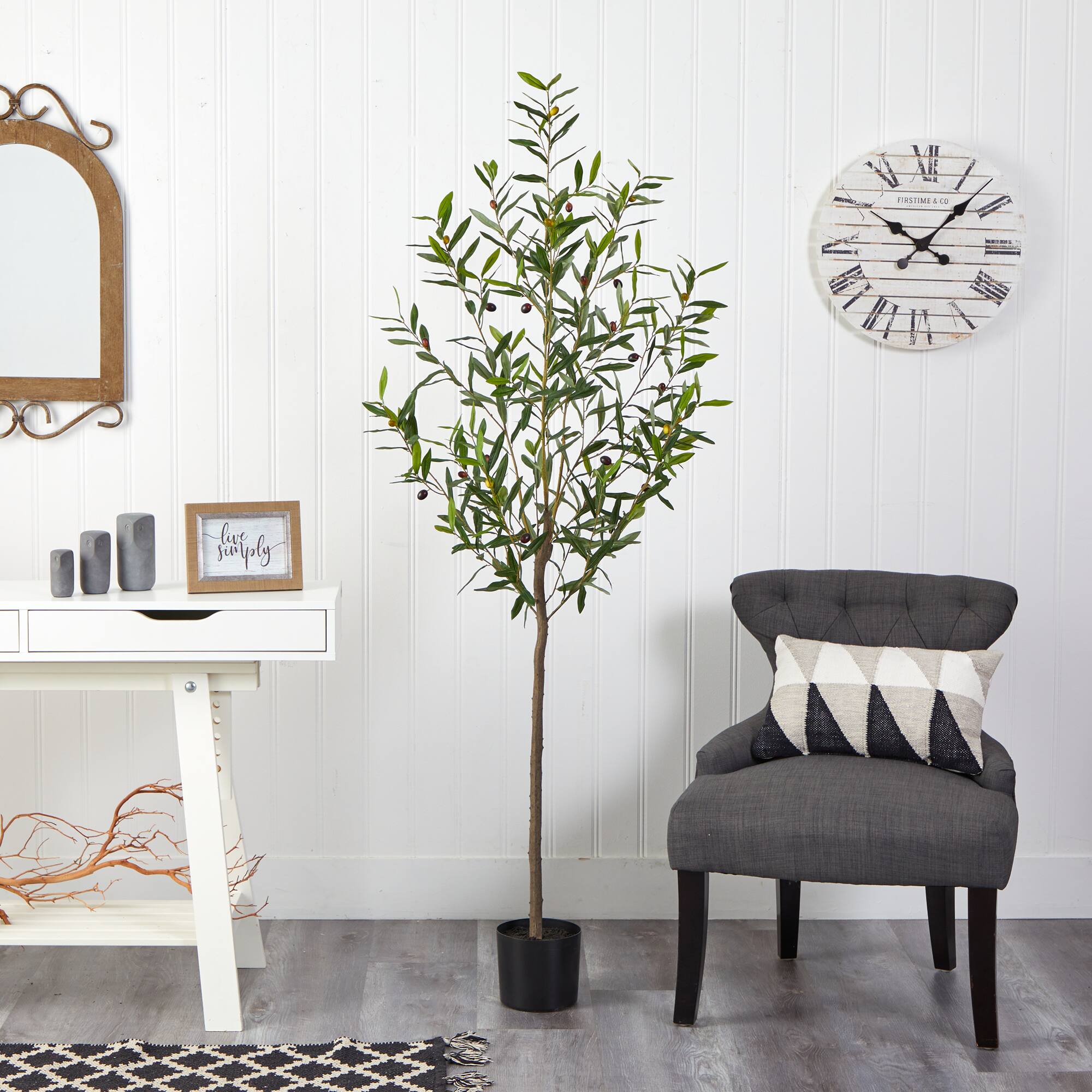 6ft. Potted Olive Tree